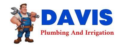 Trusted plumber in BOULDER CITY